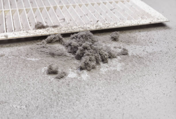 Best Professional Duct Cleaning Services  in Lakes Of The Four Seasons, IN