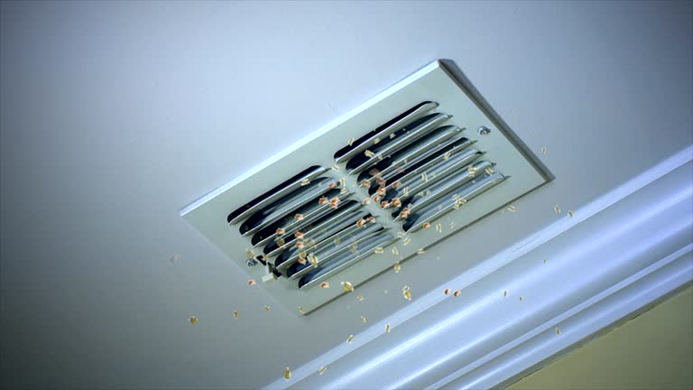 Best Affordable HVAC Duct Cleaning  in Lakes Of The Four Seasons, IN